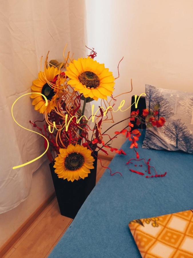 Studio Eva Sajmiste المظهر الخارجي الصورة